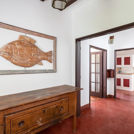 Villa Jacaranda 카스카이스 외부 사진