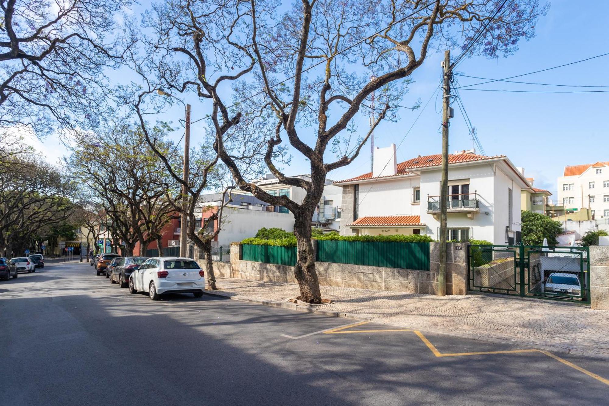 Villa Jacaranda 카스카이스 외부 사진
